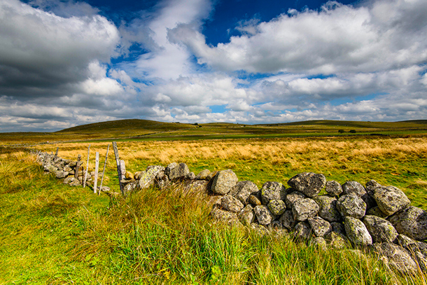 Plateau de l'Aubrac